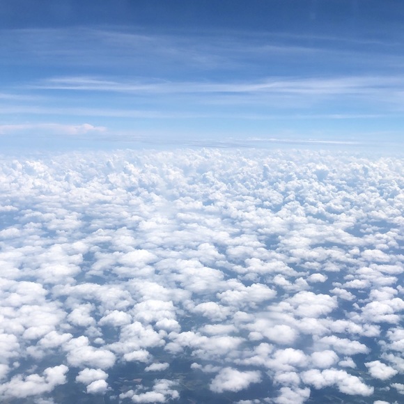 Meet your Posher, Amy - Picture 1 of 1